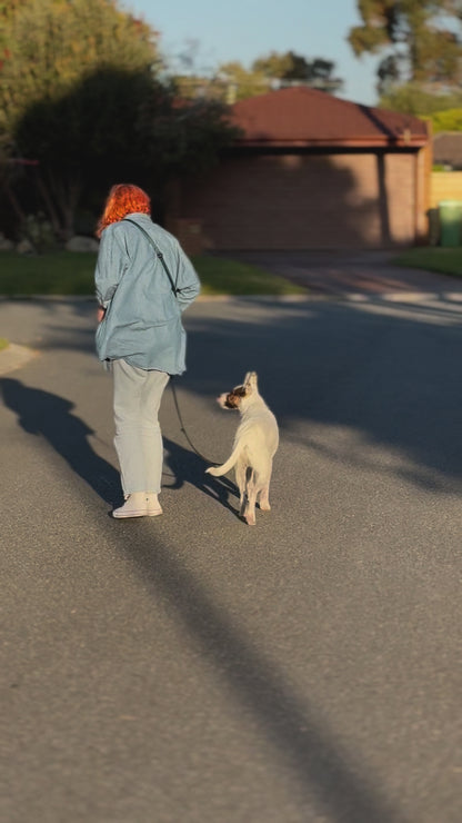 Hands Free Dog Lead