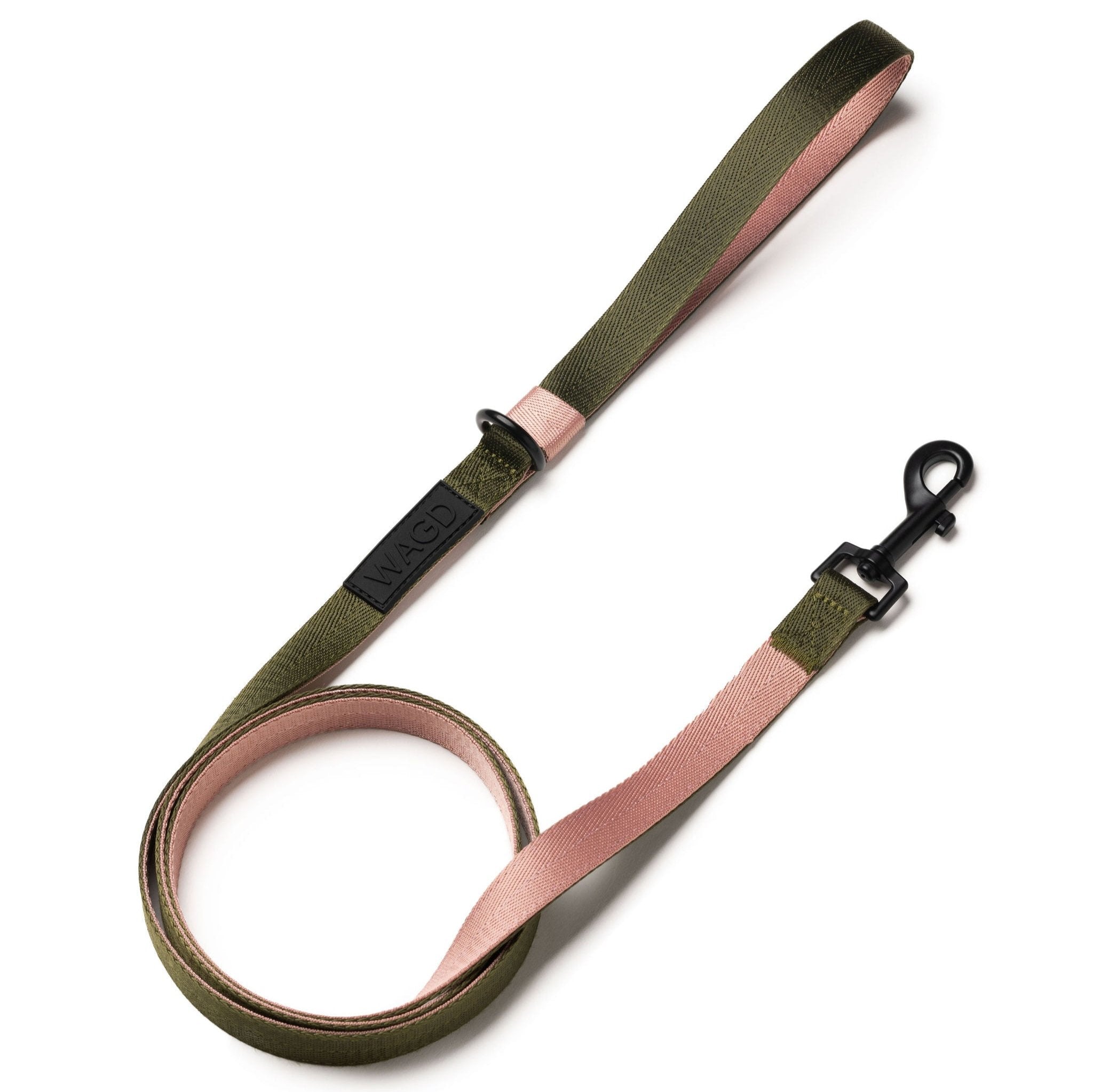 Dog leash without clip hotsell