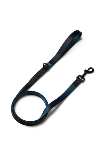 Dog lead in Peacock and black with black clip and black rubber logo below handle.