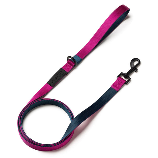 20mm Dog lead in Peacock and pink with black clip and black rubber logo below handle.