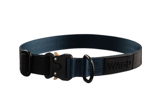 Dog collar in peacock and black with black clip and d-ring in black. With WAGD Black rubber logo.